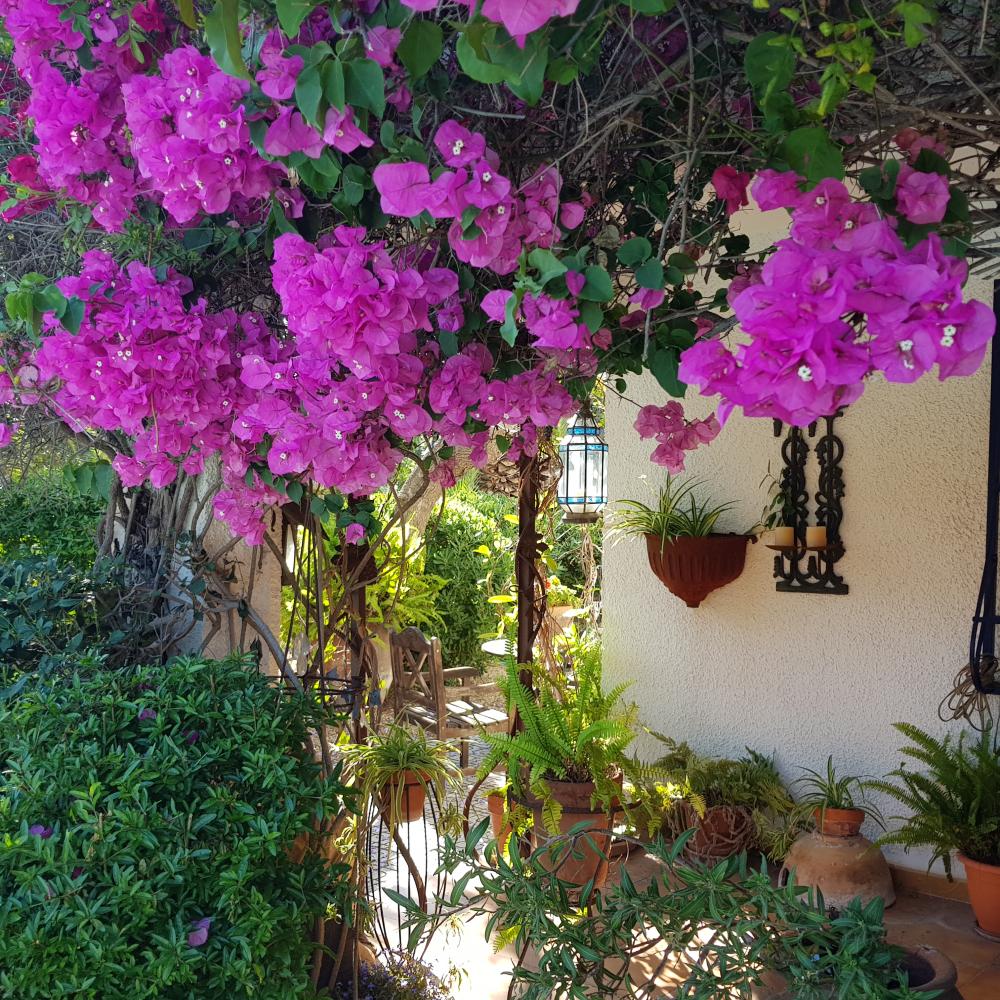  for sale villa Alfaz Del Pi Marina Baixa 24