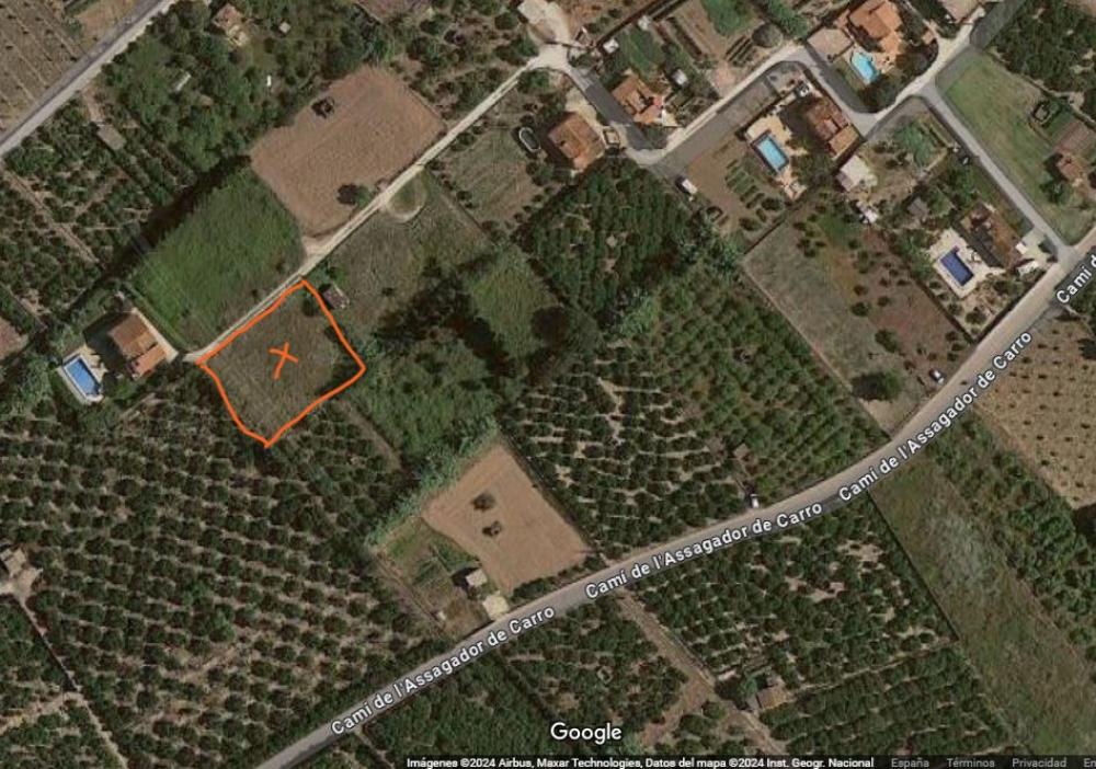  for sale plot Platja D'oliva Safor 1