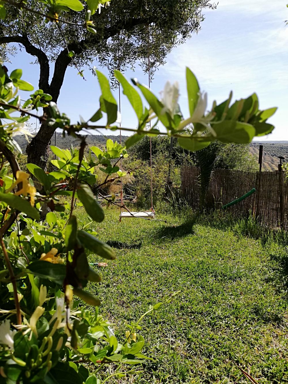  for sale country house Villanueva Del Río Y Minas Vega Del Guadalquivir 15
