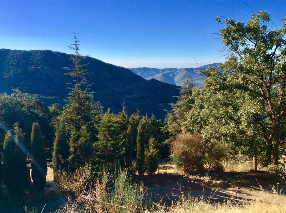  for sale country house Pampaneira Alpujarra Granadina 26