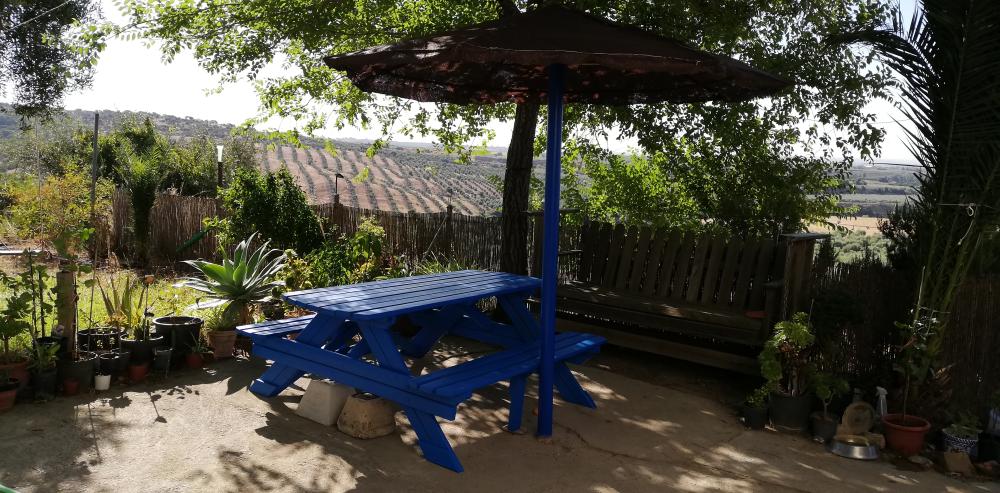  for sale country house Villanueva Del Río Y Minas Vega Del Guadalquivir 29