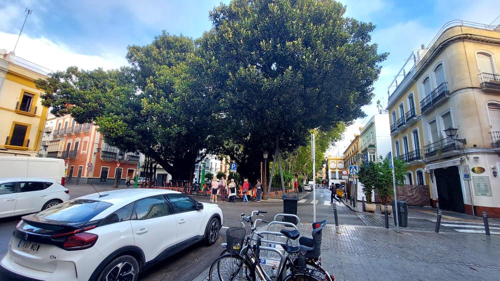  for sale apartment Sevilla Casco Antiguo 41003 Metropolitana De Sevilla 41