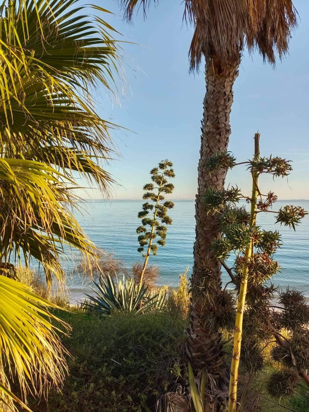 for sale apartment Jardin De Almadrava Costa Noroeste 4