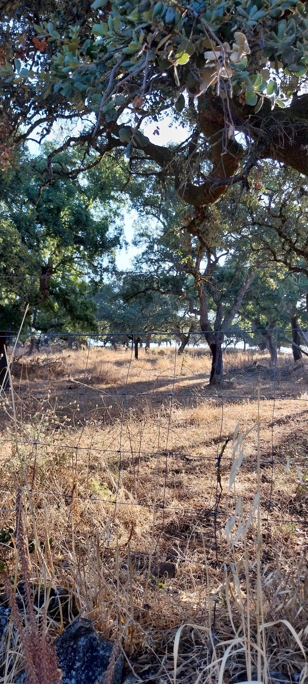  for sale country house Valdezufre Sierra De Huelva 2