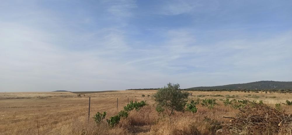  for sale country house Mirandilla Merida 17