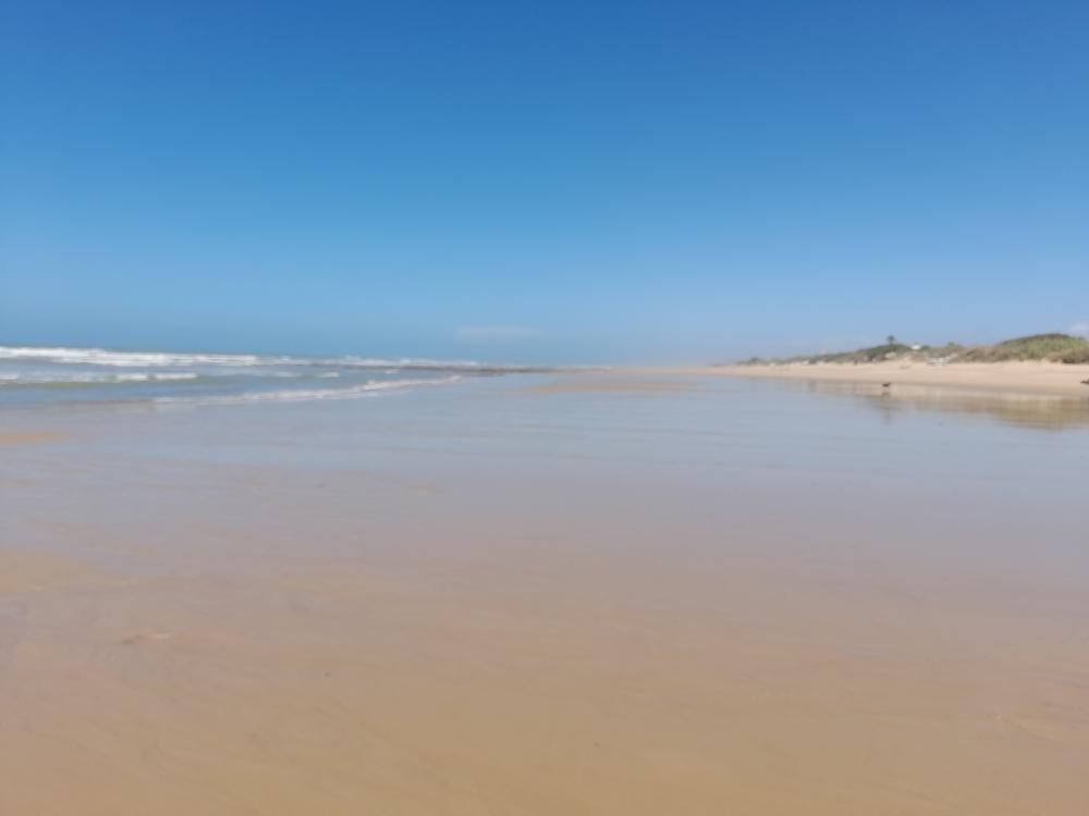  for sale duplex Costa Ballena Costa Noroeste 21