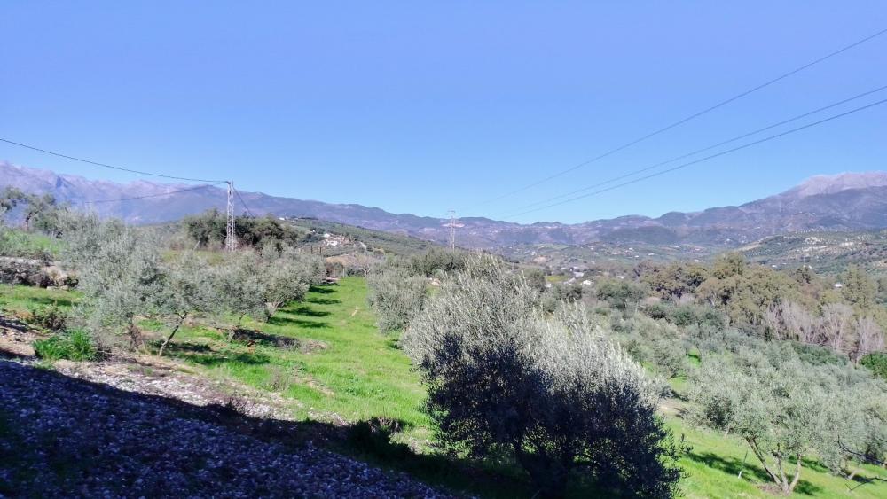  for sale country house Monda Sierra De Las Nieves 48