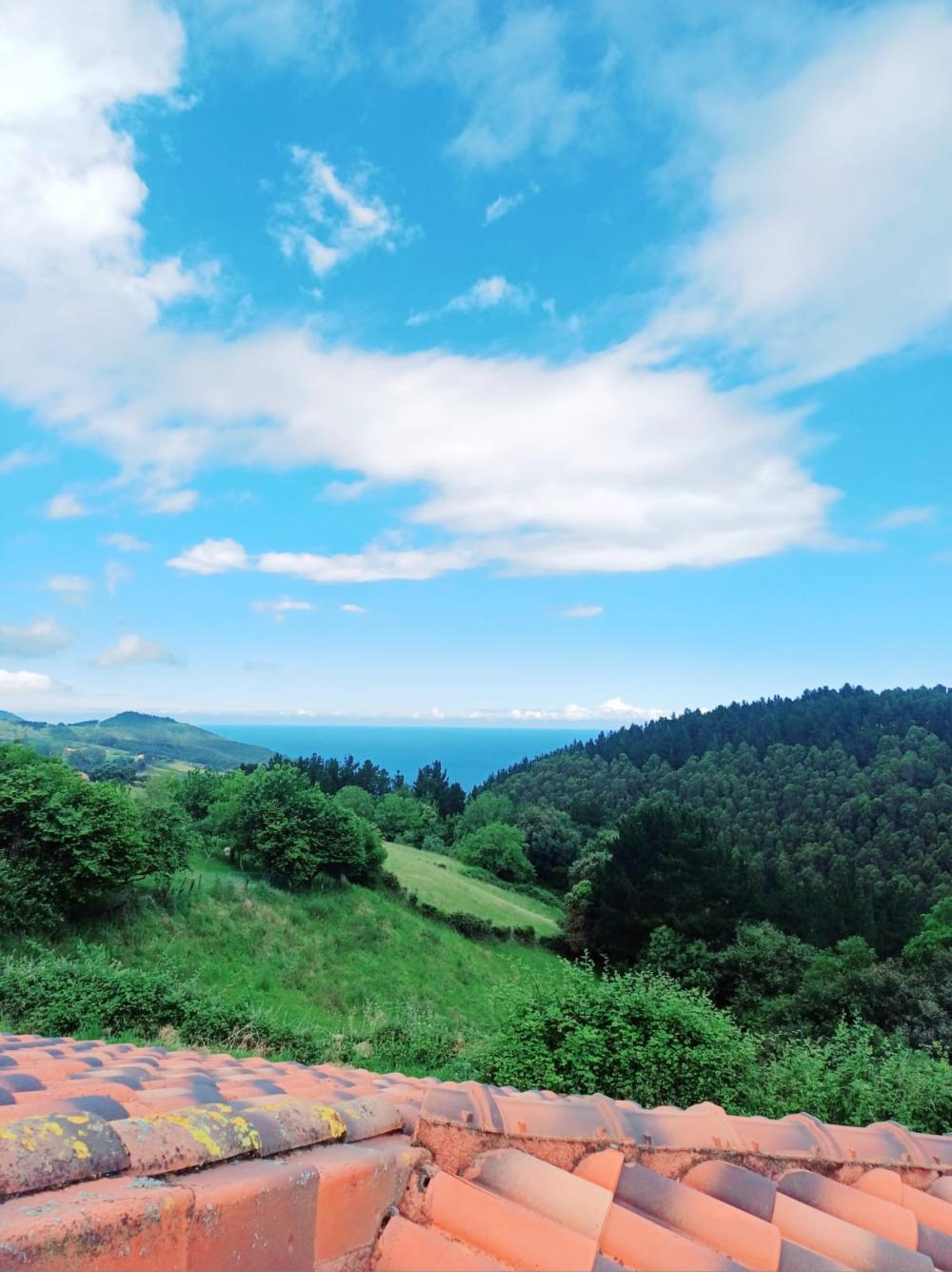  for sale villa Asterrika Lea-Artibai 1