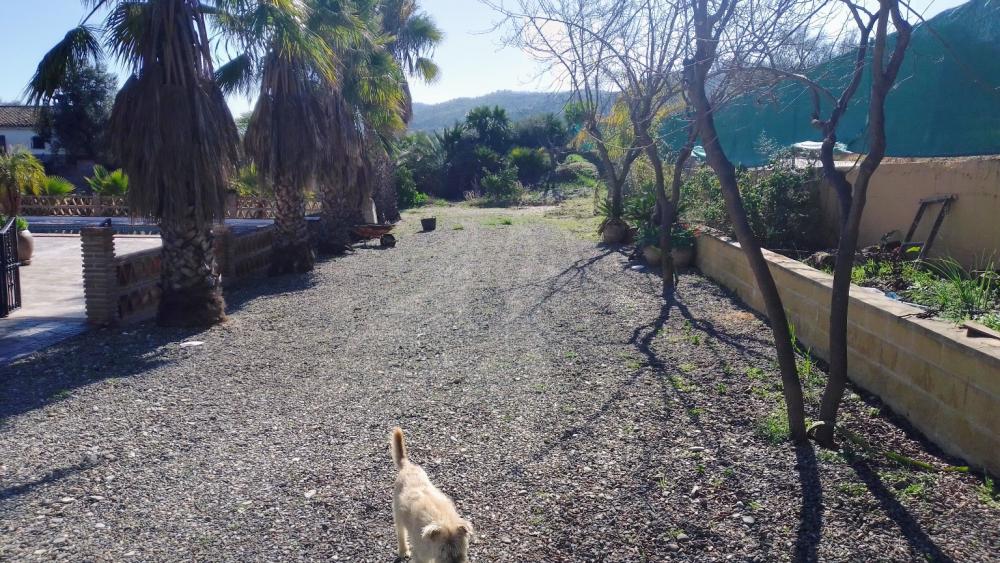  for sale country house Monda Sierra De Las Nieves 10