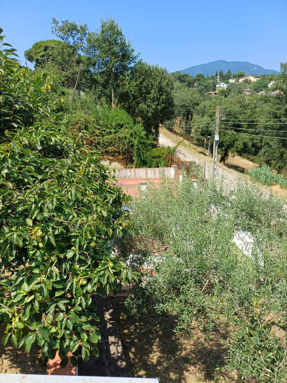  for sale house Riells I Viabrea Selva 10