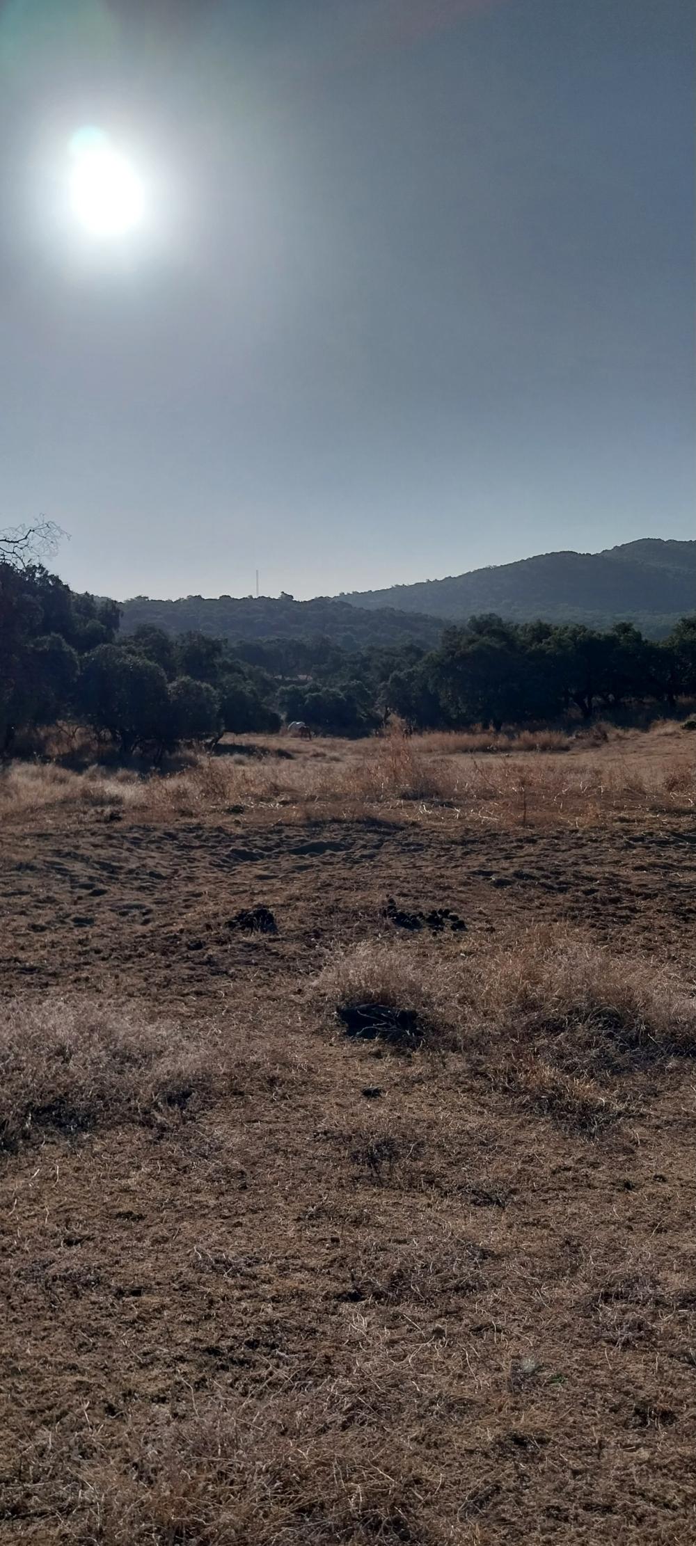  for sale country house Valdezufre Sierra De Huelva 4