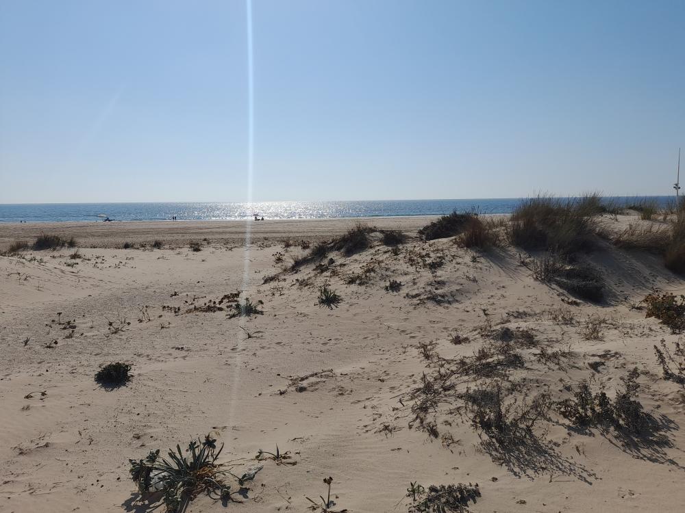  for sale duplex Costa Ballena Costa Noroeste 24