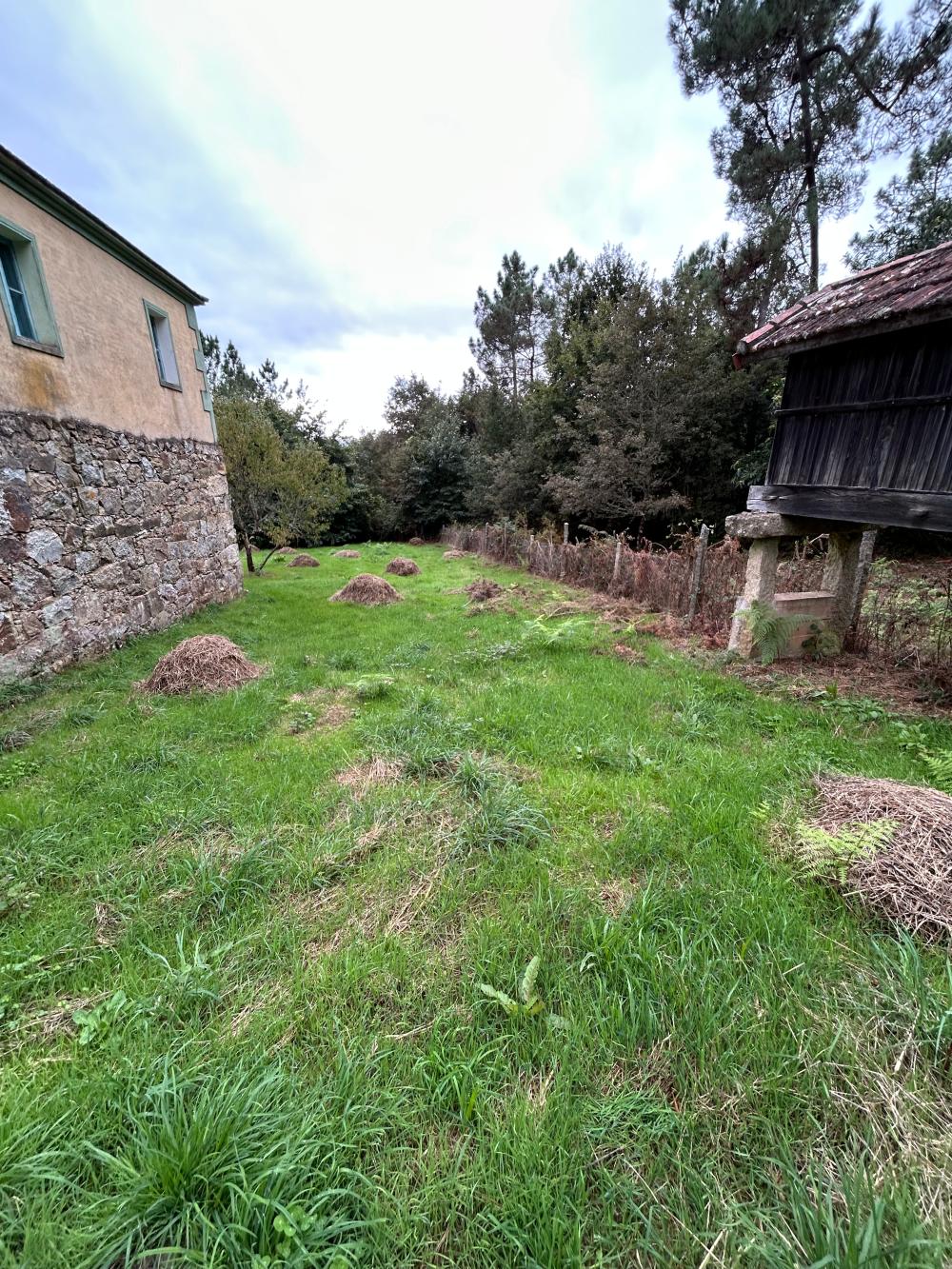  for sale house A Teixeira Terra Da Celanova 9