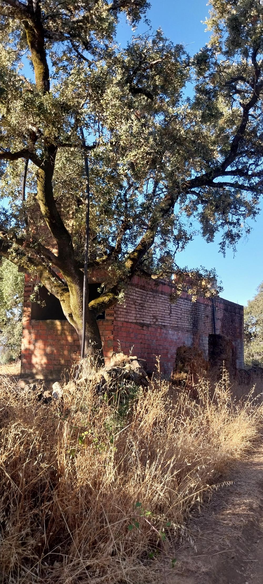  for sale country house Valdezufre Sierra De Huelva 6