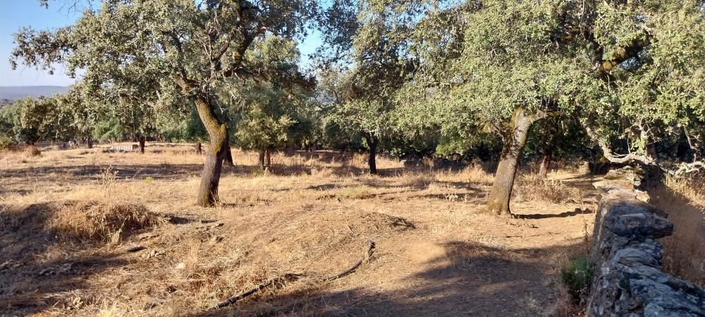  for sale country house Valdezufre Sierra De Huelva 7
