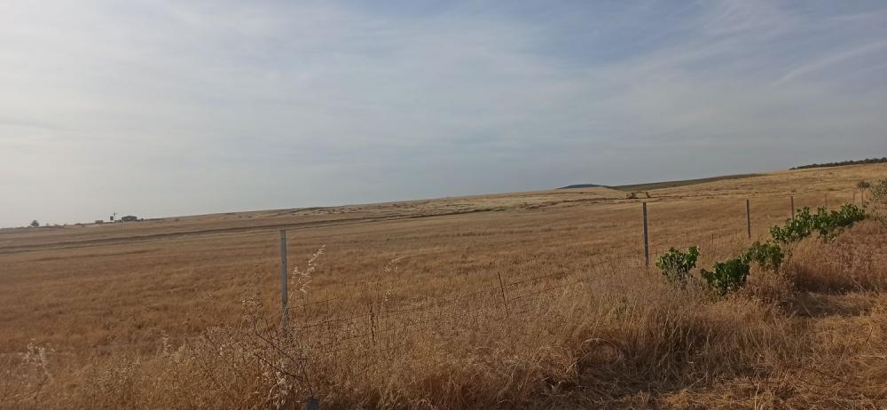  for sale country house Mirandilla Merida 16