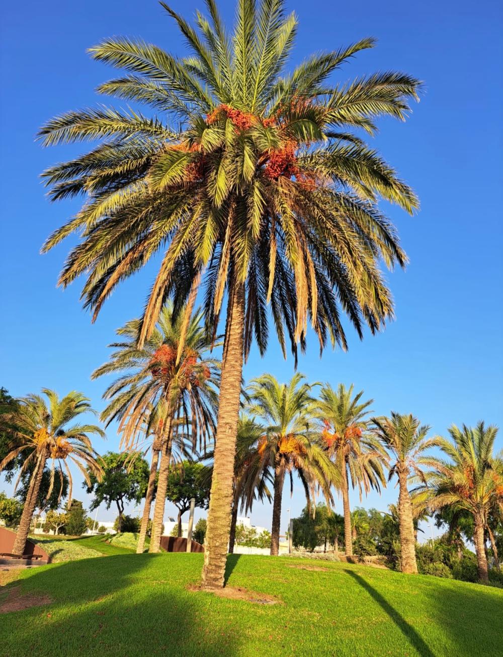  for sale villa Retamar Comarca Metropolitana De Almería 31