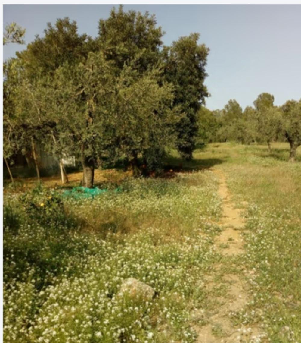  for sale country house Mont-Roig Del Camp Baix Camp 2