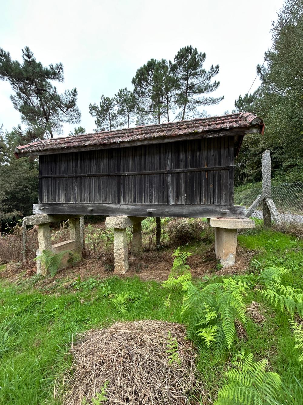  for sale house A Teixeira Terra Da Celanova 8