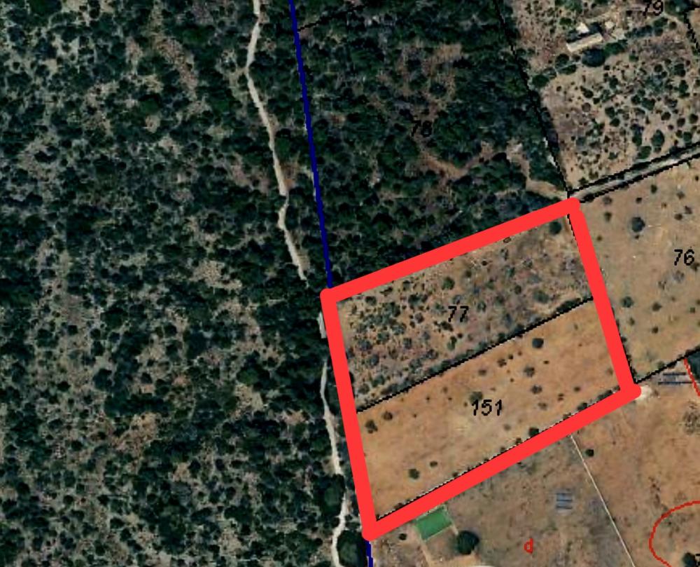  for sale plot Santanyí Sud 5