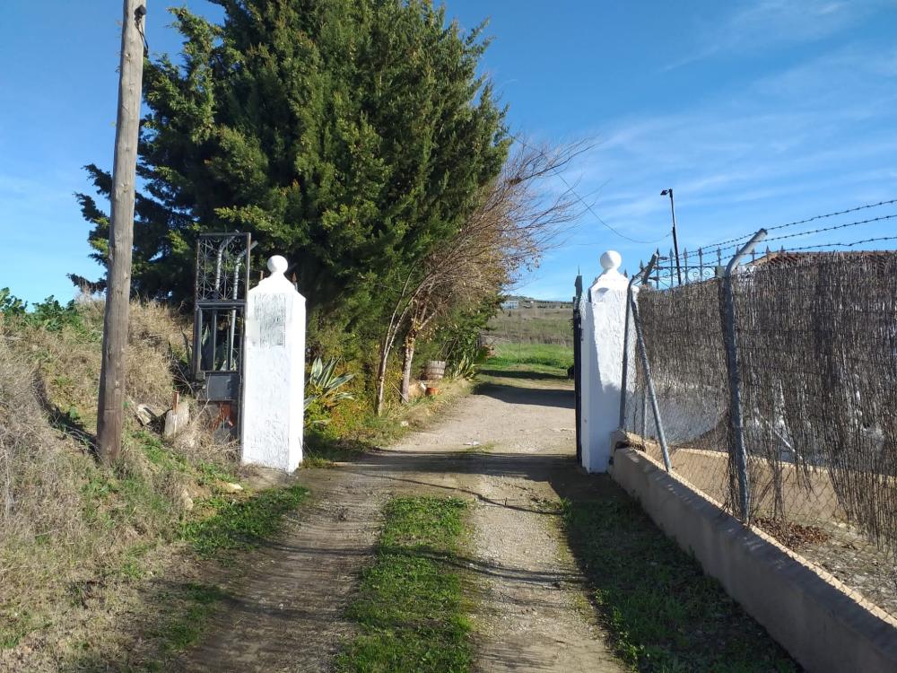  for sale country house Arriate Serranía De Ronda 3