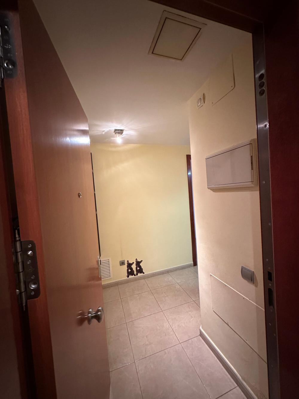  for sale apartment Deltebre Baix Ebre 5