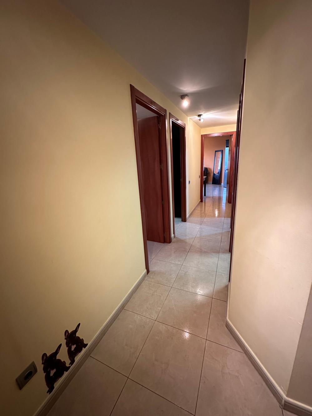  for sale apartment Deltebre Baix Ebre 2