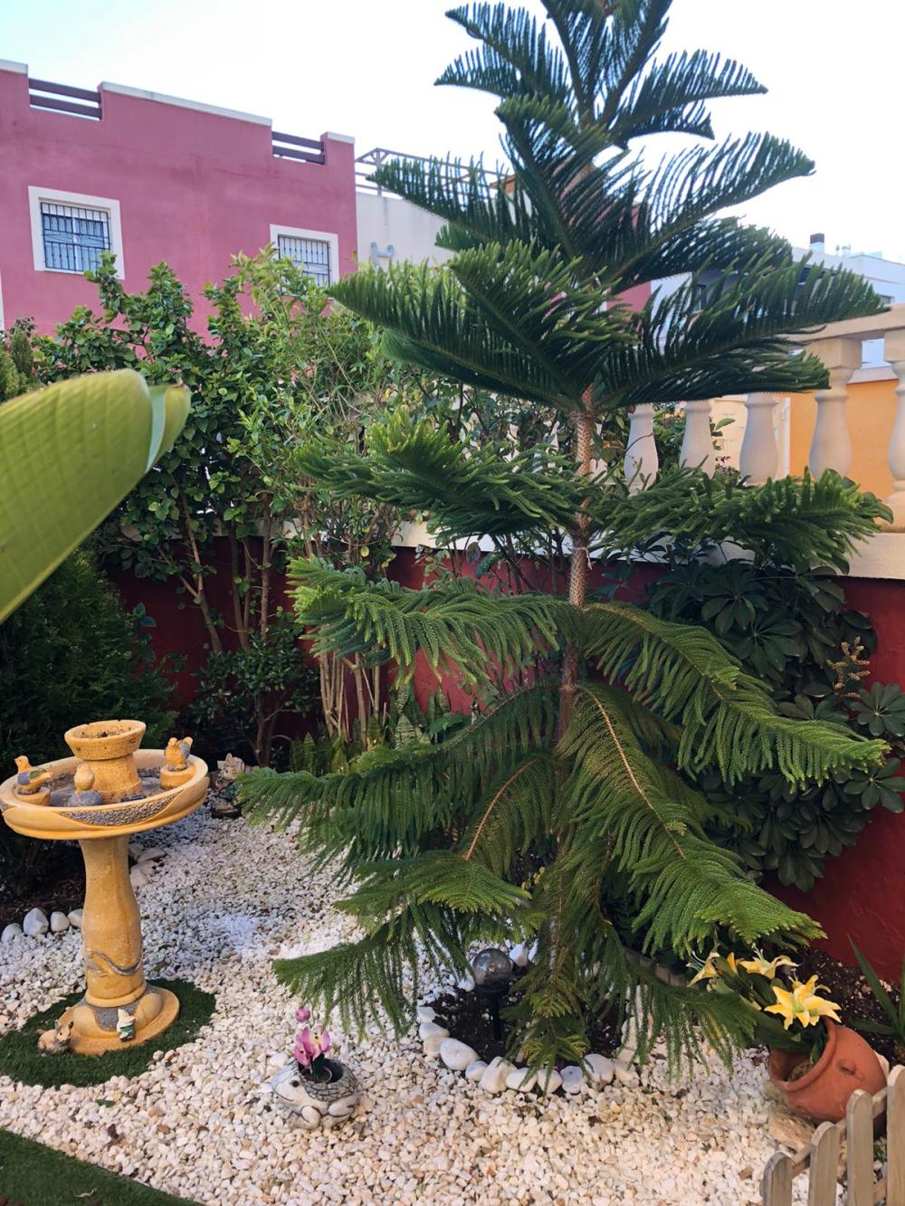 for sale ground floor Orihuela Costa Baix Segura 10