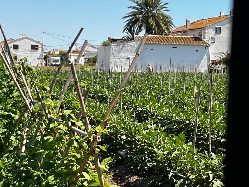  for sale country house Barrio Roca Horta Nord 1