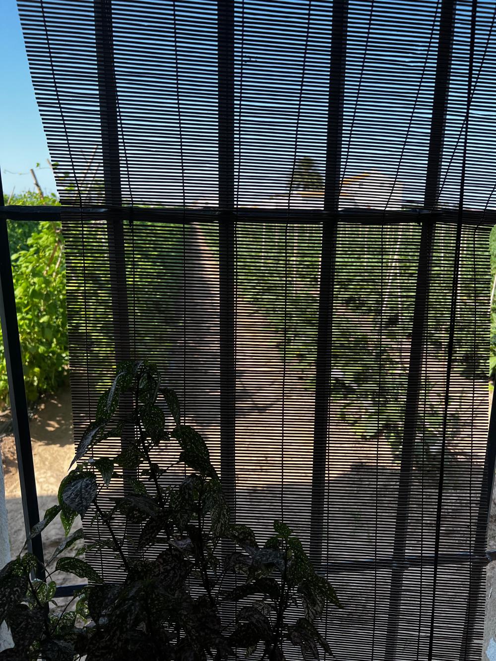  for sale country house Barrio Roca Horta Nord 17