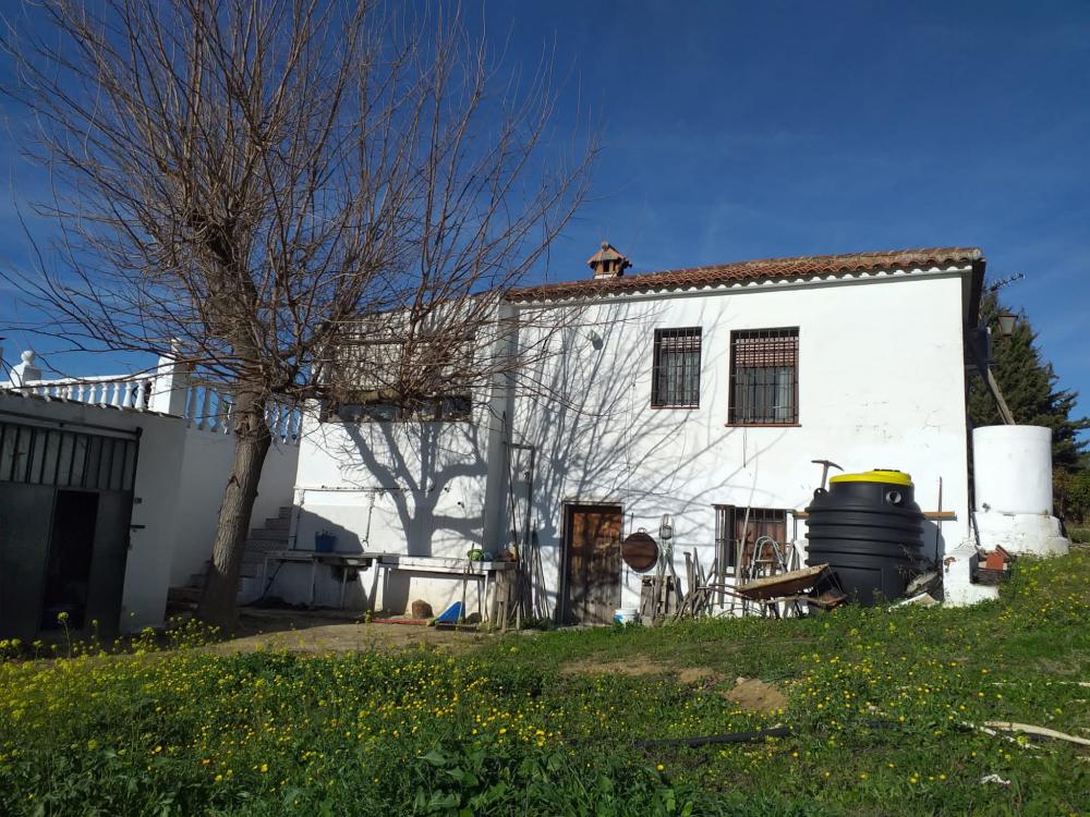  for sale country house Arriate Serranía De Ronda 4