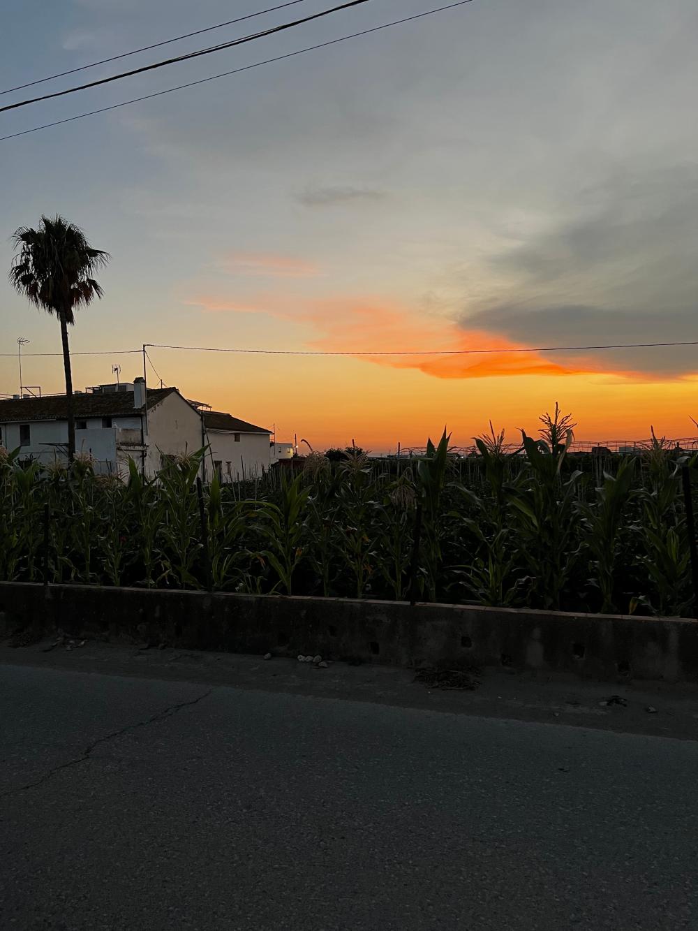  for sale country house Barrio Roca Horta Nord 8