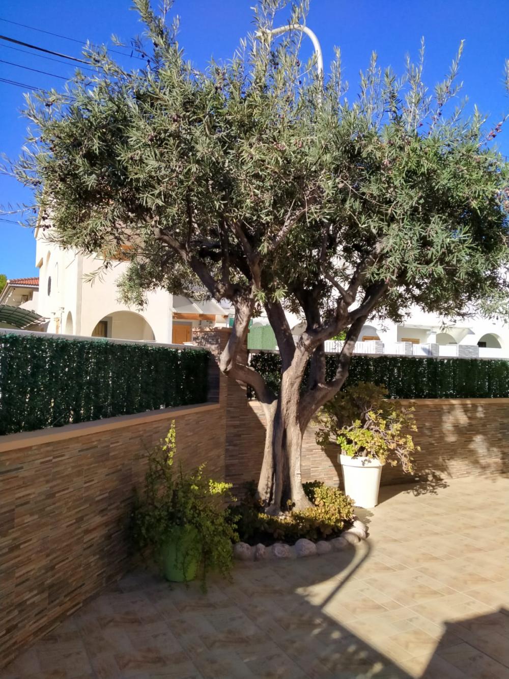  for sale terraced house Santiago De La Ribera Mar Menor 10