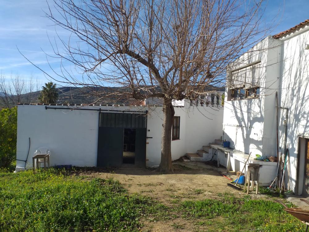  for sale country house Arriate Serranía De Ronda 5