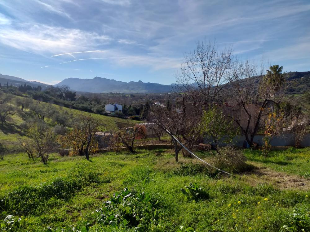  for sale country house Arriate Serranía De Ronda 6