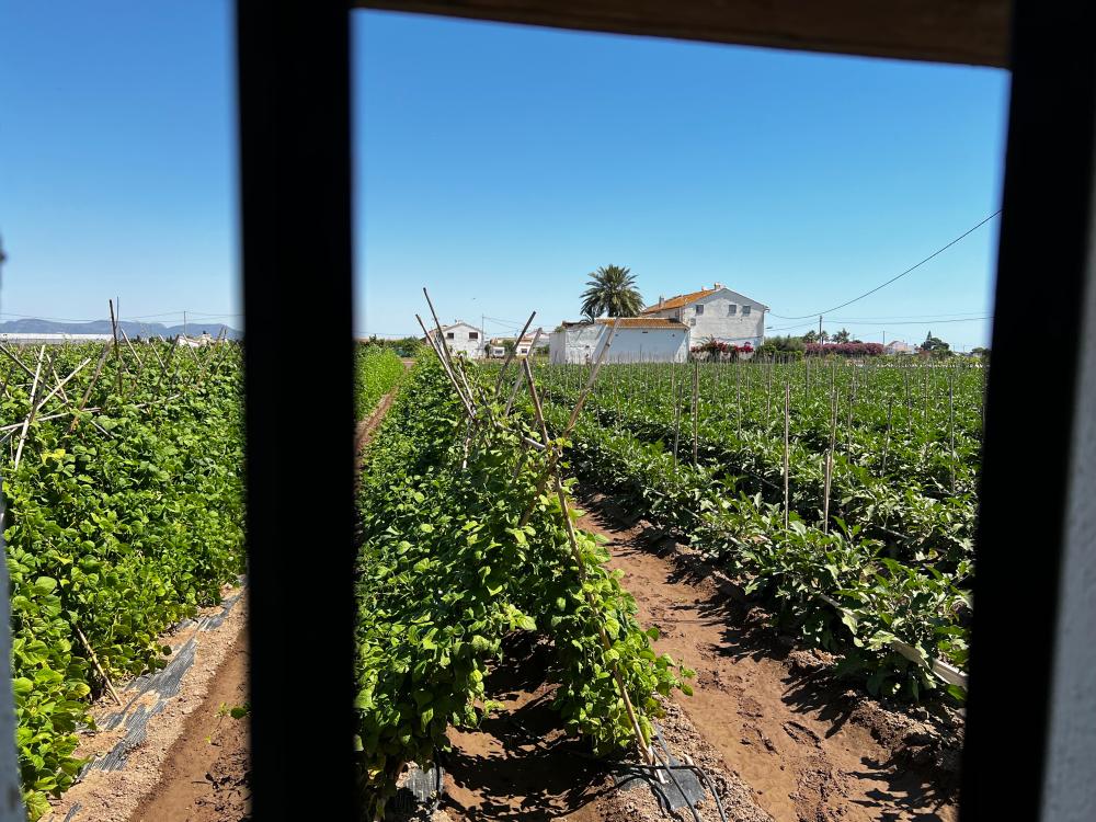  for sale country house Barrio Roca Horta Nord 18