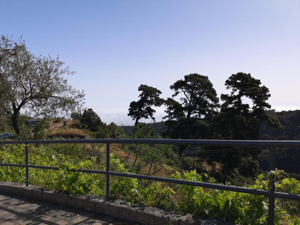  for sale house Roque Del Faro Palma (La) 9