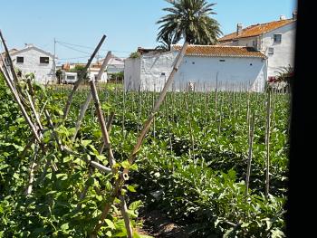 Barrio Roca Horta Nord country house foto 6078454