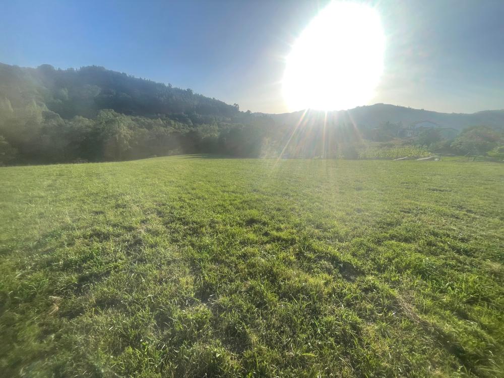  for sale country house Selorio Gijón 3