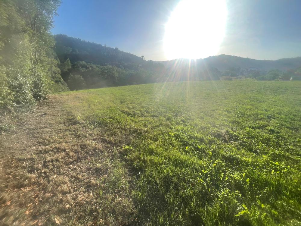  for sale country house Selorio Gijón 2