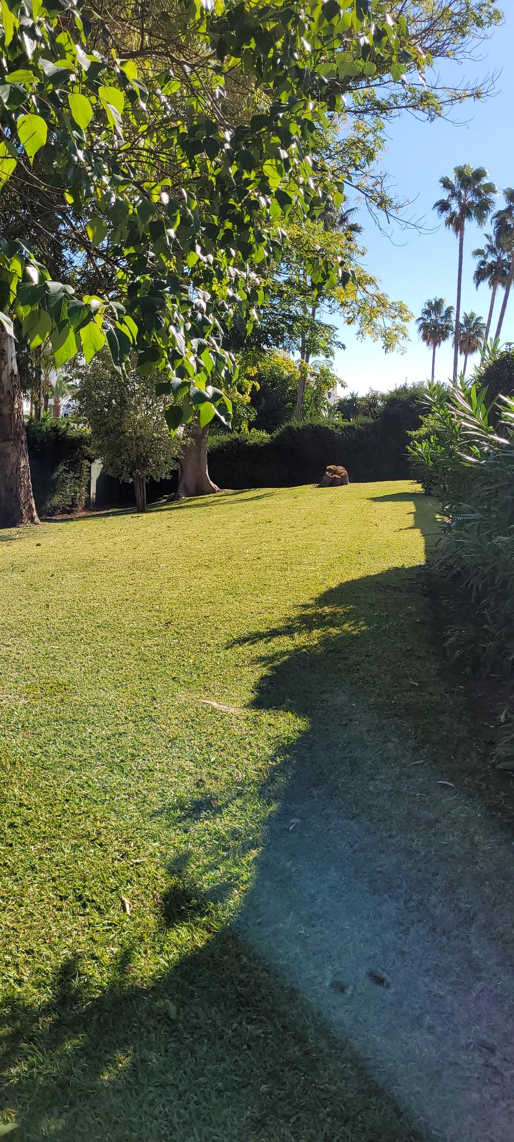  for sale terraced house Nueva Andalucía Costa Del Sol Occidental 28