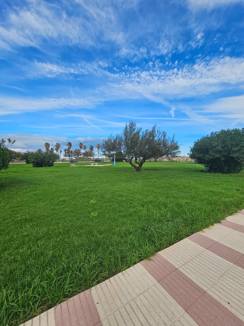  for sale apartment Daimús Safor 3