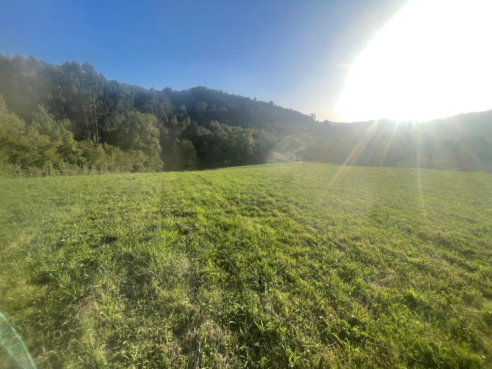  for sale country house Selorio Gijón 1