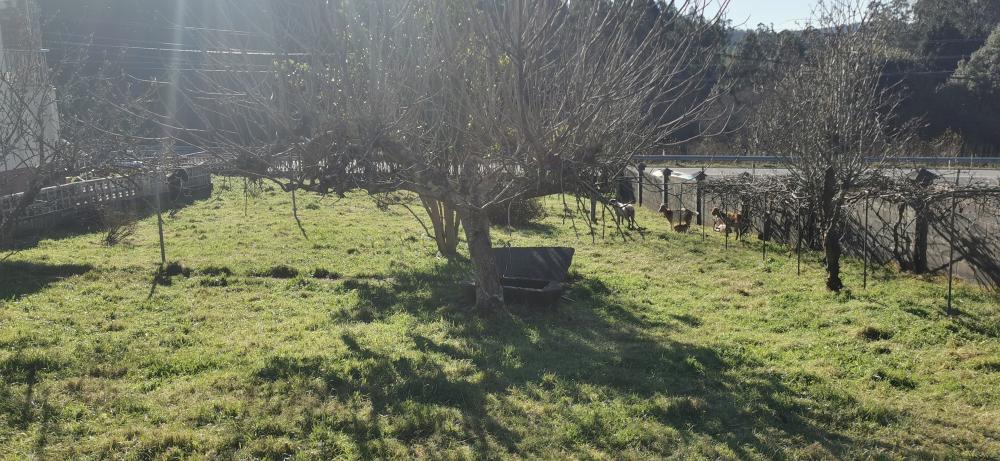  for sale house Campo Do Hospital Ferrol 26