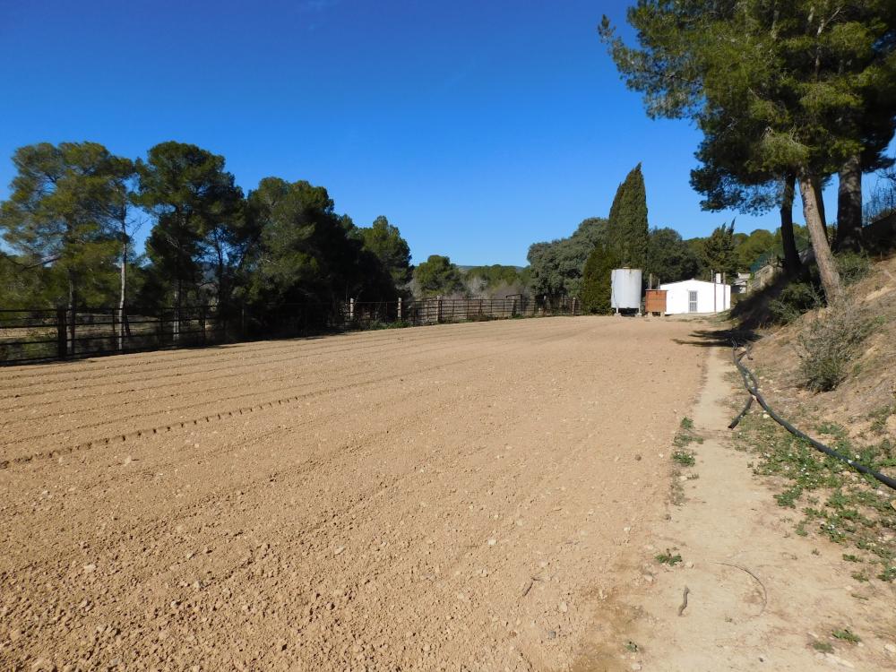  for sale villa Guardiola De Font-Rubi Alt Penedès 6
