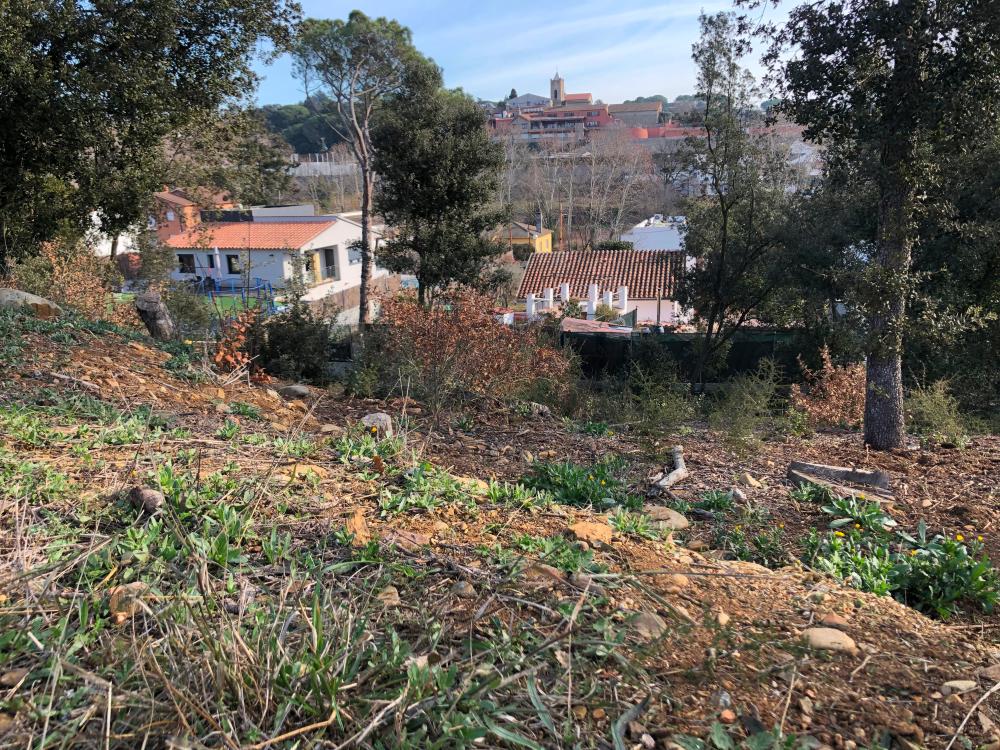  for sale plot Sant Julia D'alfou Vallès Oriental 5