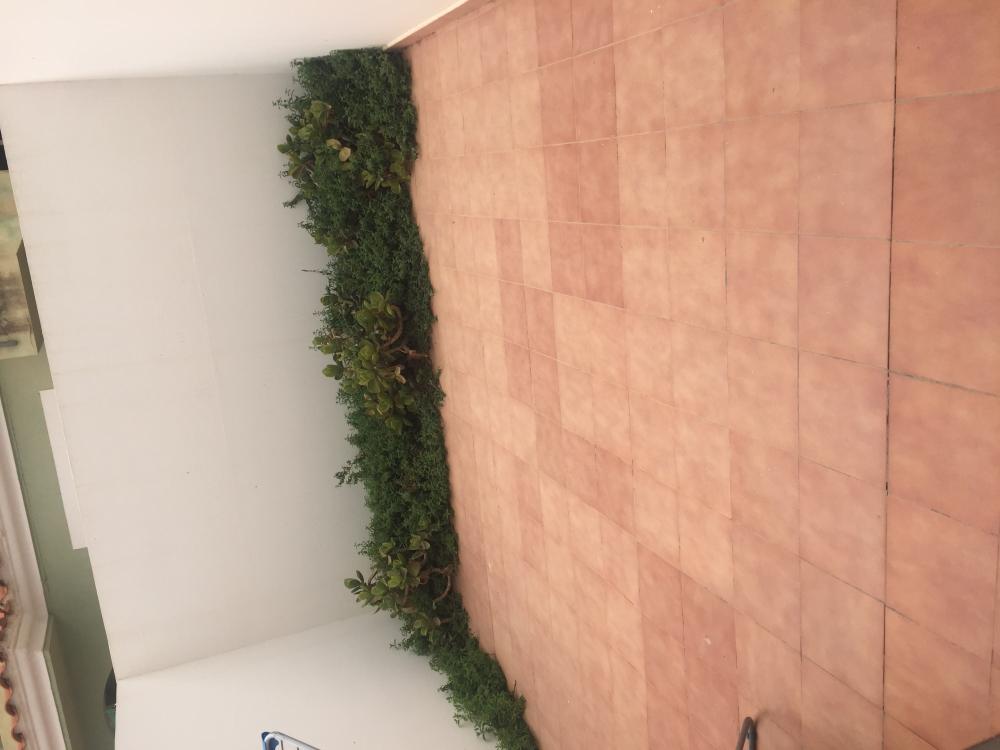  for sale ground floor Palomares Levante Almeriense 16