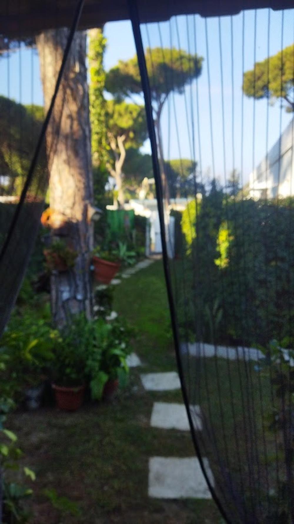 for sale country house Chiclana De La Frontera Bahía De Cádiz 16