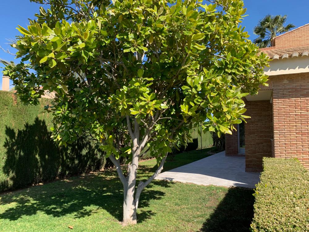  for sale villa San Antonio De Benagéber Camp De Túria 91