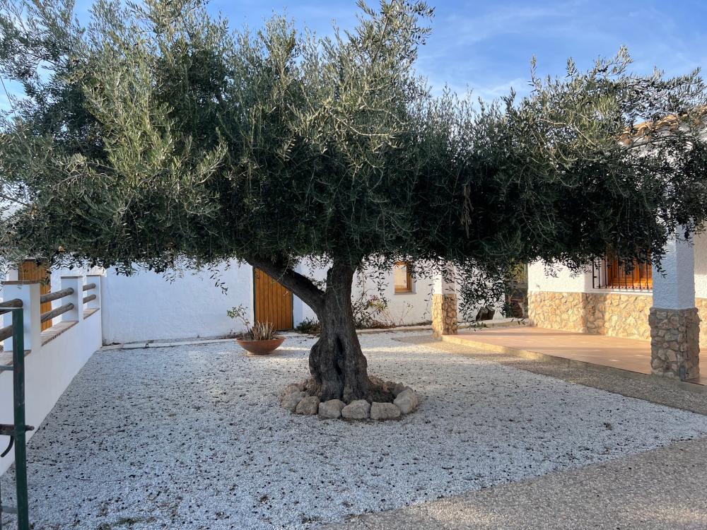  for sale villa Vélez Blanco Comarca De Los Vélez 6